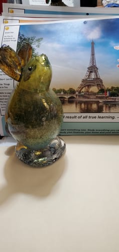 Customer photo review of Funny Little Bunny - PT99