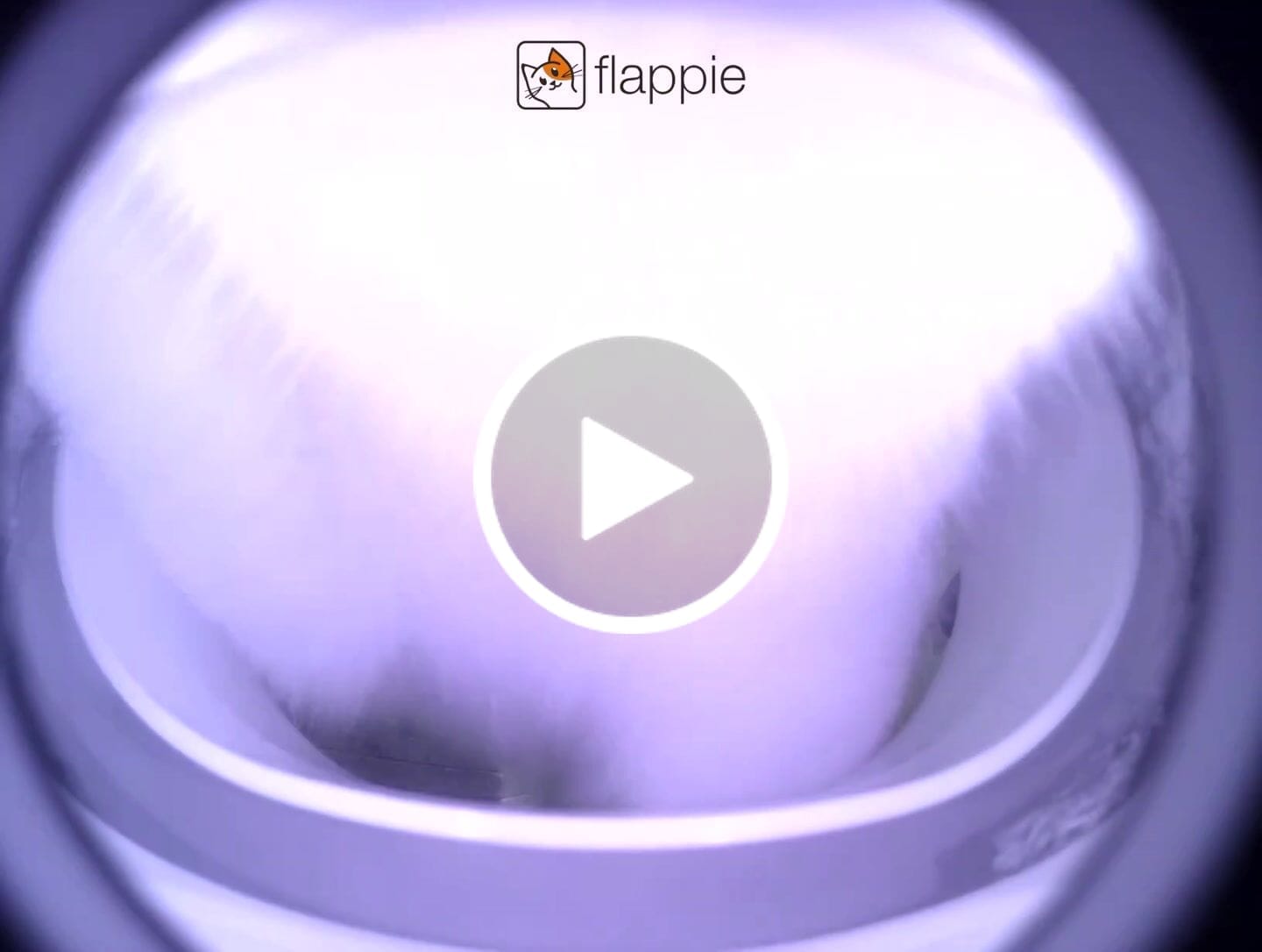 Customer video review of Flappie®