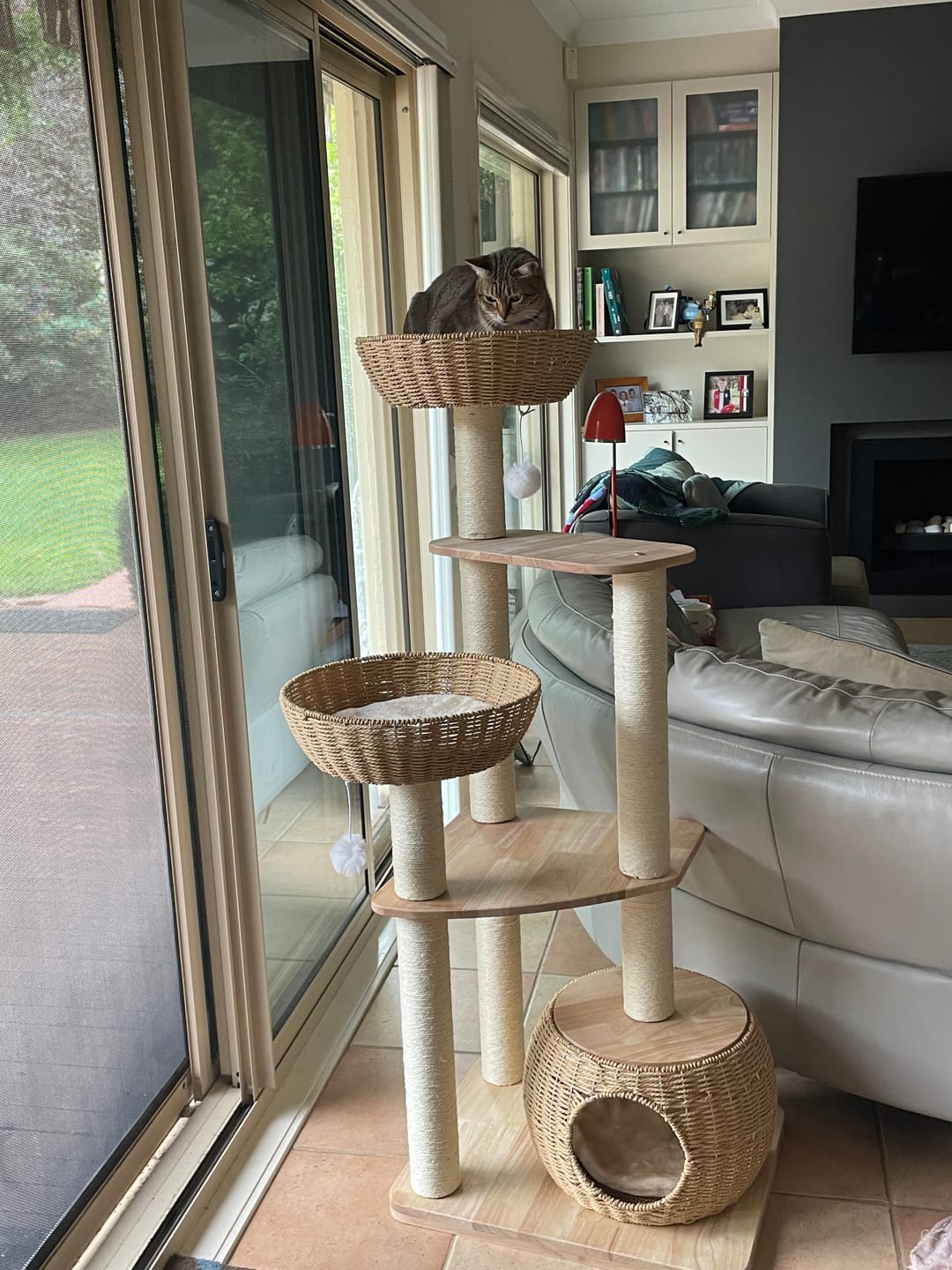 Customer photo review of Oak Cat Tower – 6 Levels with Woven Rattan Beds (90855)
