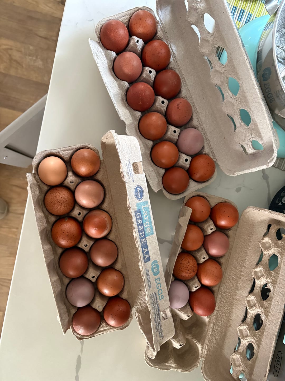 Customer photo review of Complete Guide to Healthy Chickens and Better Eggs (Digital Guide)