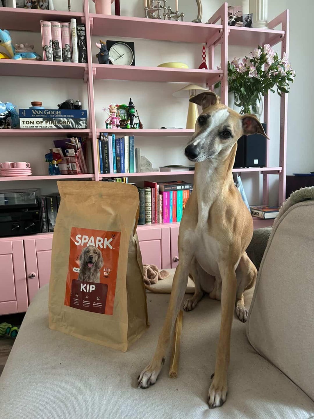 Customer photo review of V2.0 - Volwassen - Kip met Zoete Aardappel