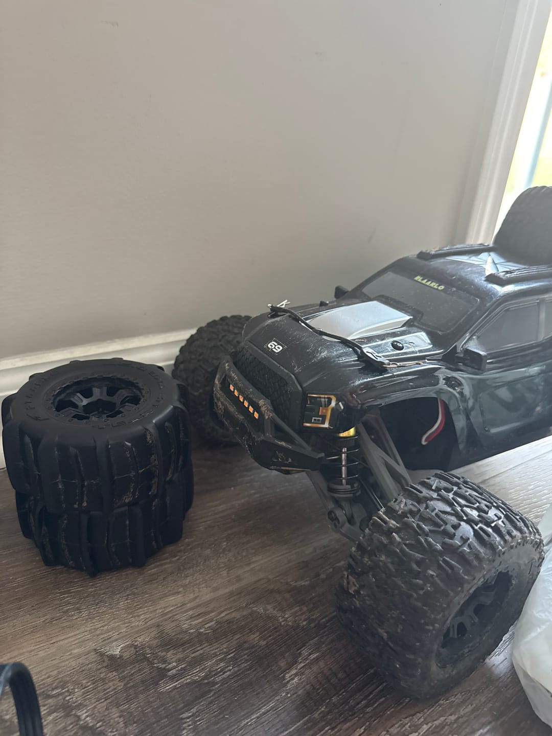 Customer photo review of RC Paddle Tires For RZ001