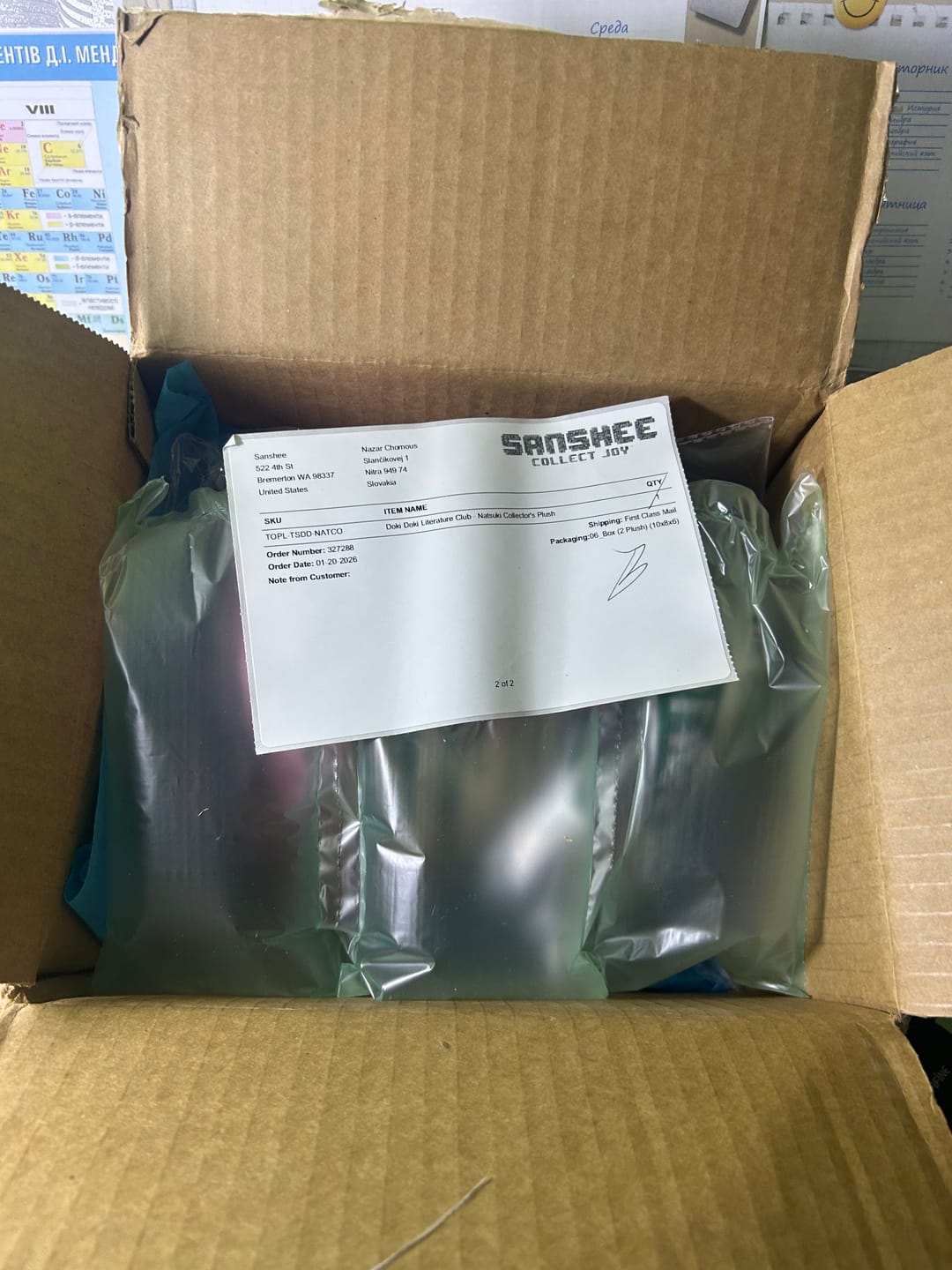 Customer photo review of Doki Doki Literature Club - Natsuki Collector's Plush