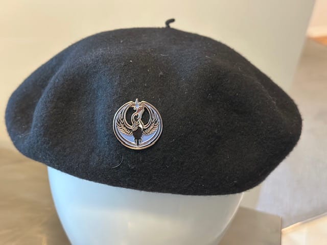 Customer photo review of Rebel Loon Enamel Pin
