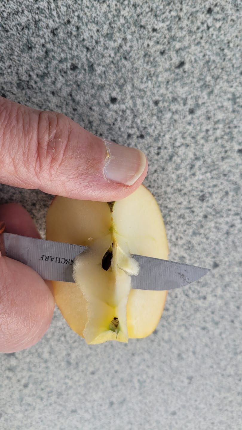 Customer photo review of Küchenscharf Zöppken 17 cm (100% Solinger Handwerkskunst).