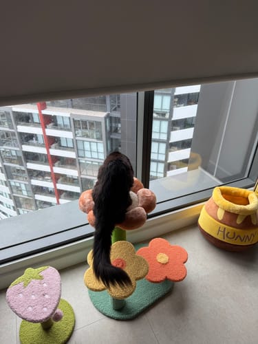 Customer photo review of Flower-Styled Cat Tree with Soft Nest & Scratching Posts