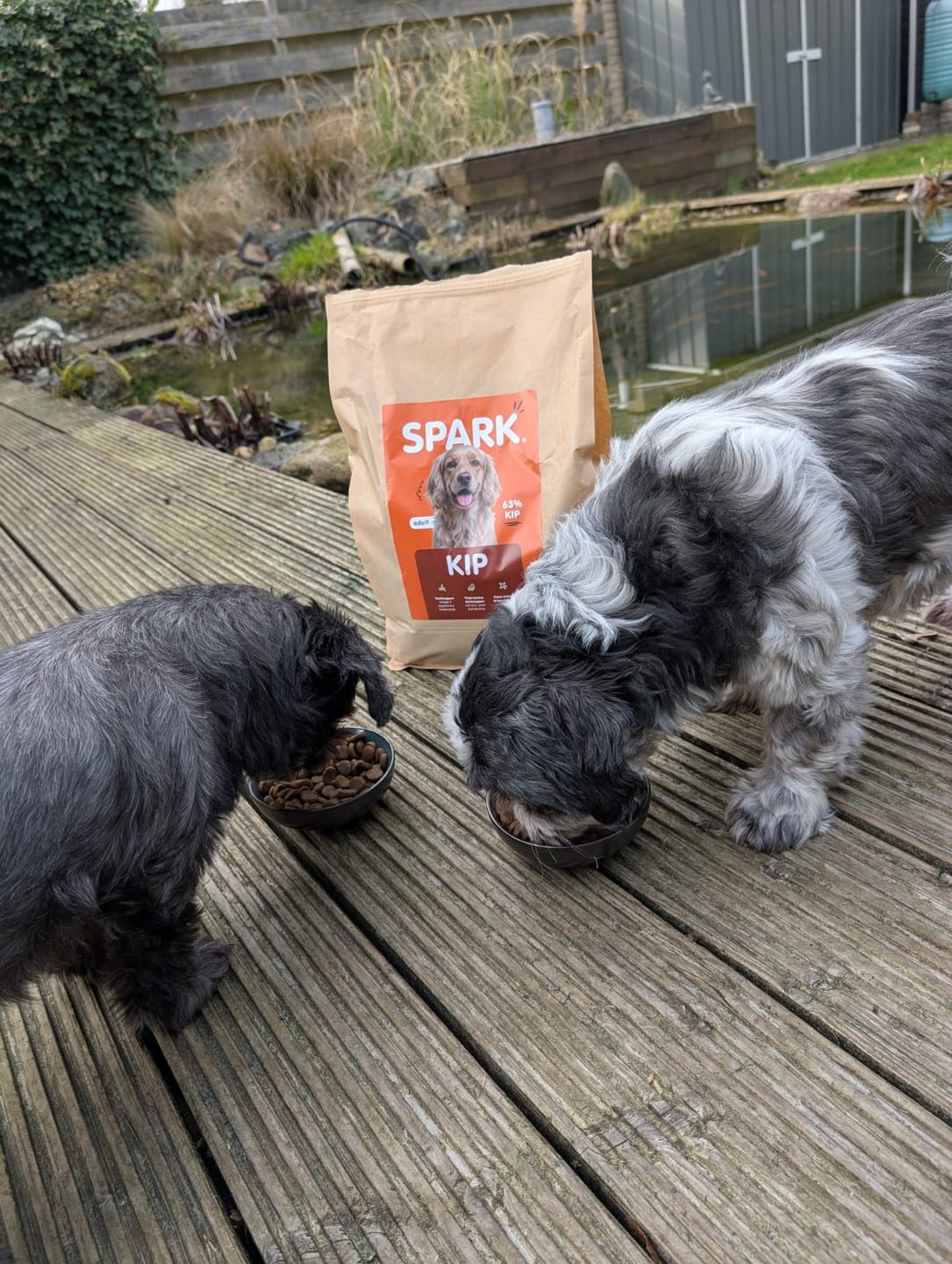 Customer photo review of V2.0 - Volwassen - Kip met Zoete Aardappel