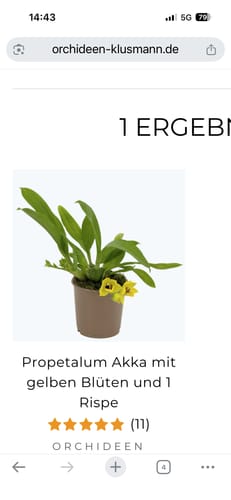 Rezensent zeigt einen Screenshot der Produktseite für die Propetalum Akka Orchidee mit gelben Blüten.