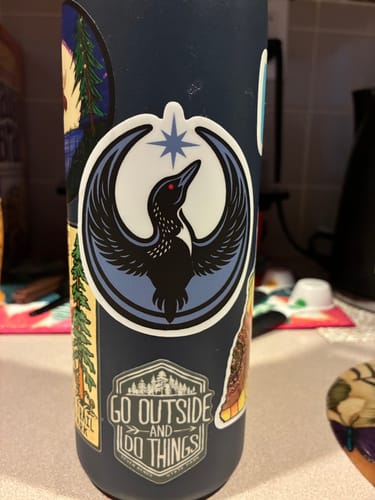 Customer photo review of Rebel Loon Sticker