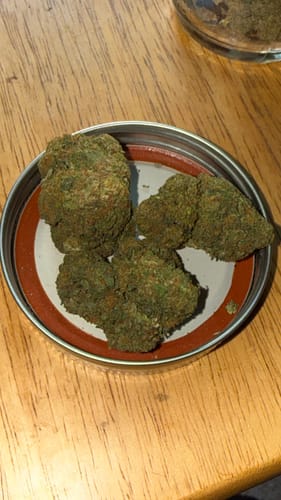 Customer's dense, green Acapulco Gold buds displayed in a metal jar lid.