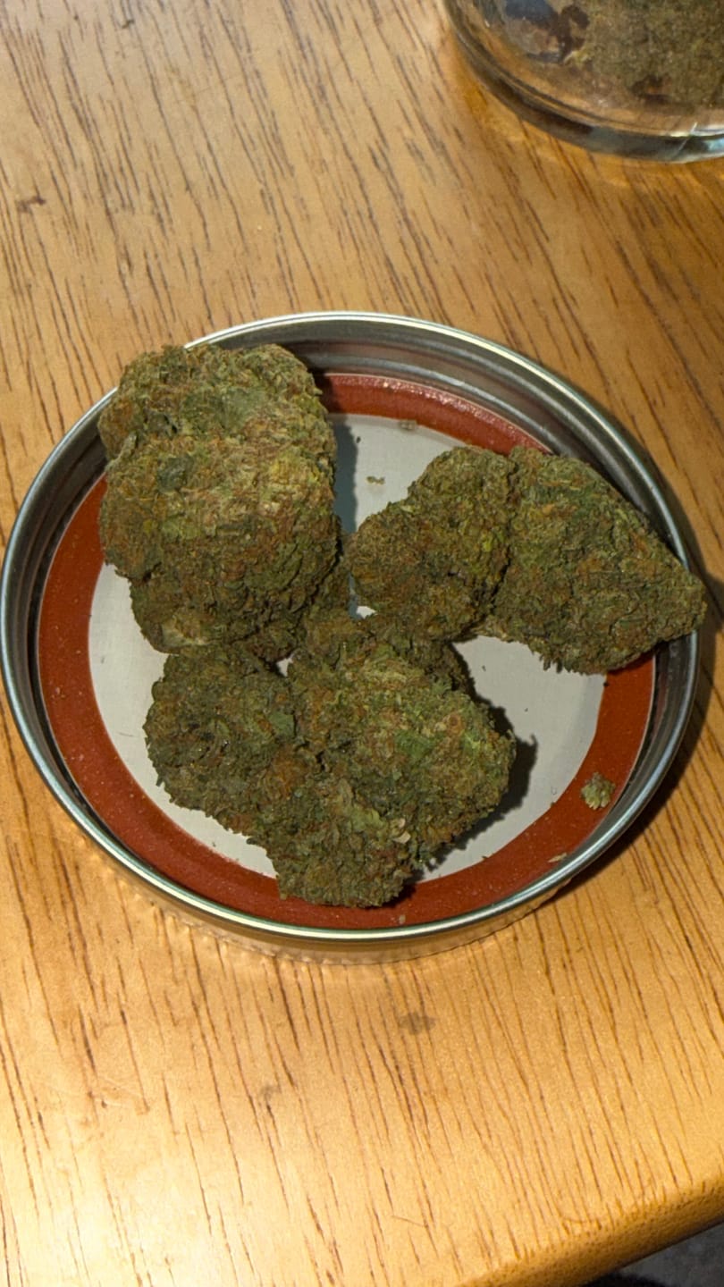 Customer photo review of Acapulco Gold