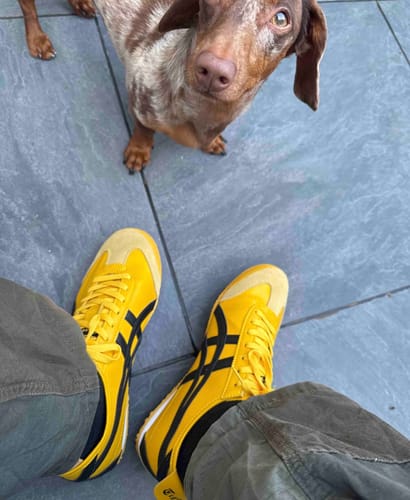 Customer photo review of Onitsuka Tiger Mexico 66 Kill Bill