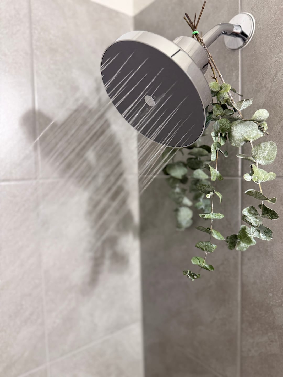 Customer photo review of Ultimate Showerhead