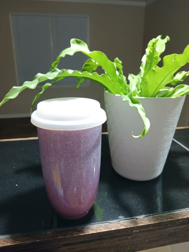 Customer photo review of Astral Bloom Cup 16oz