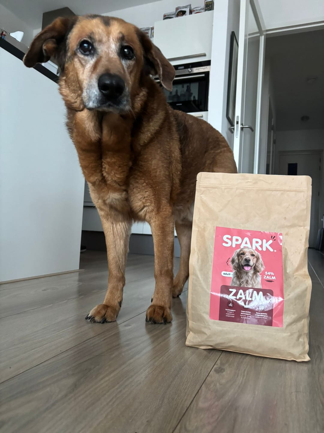 Customer photo review of V2.0 - Volwassen - Zalm met Zoete Aardappel
