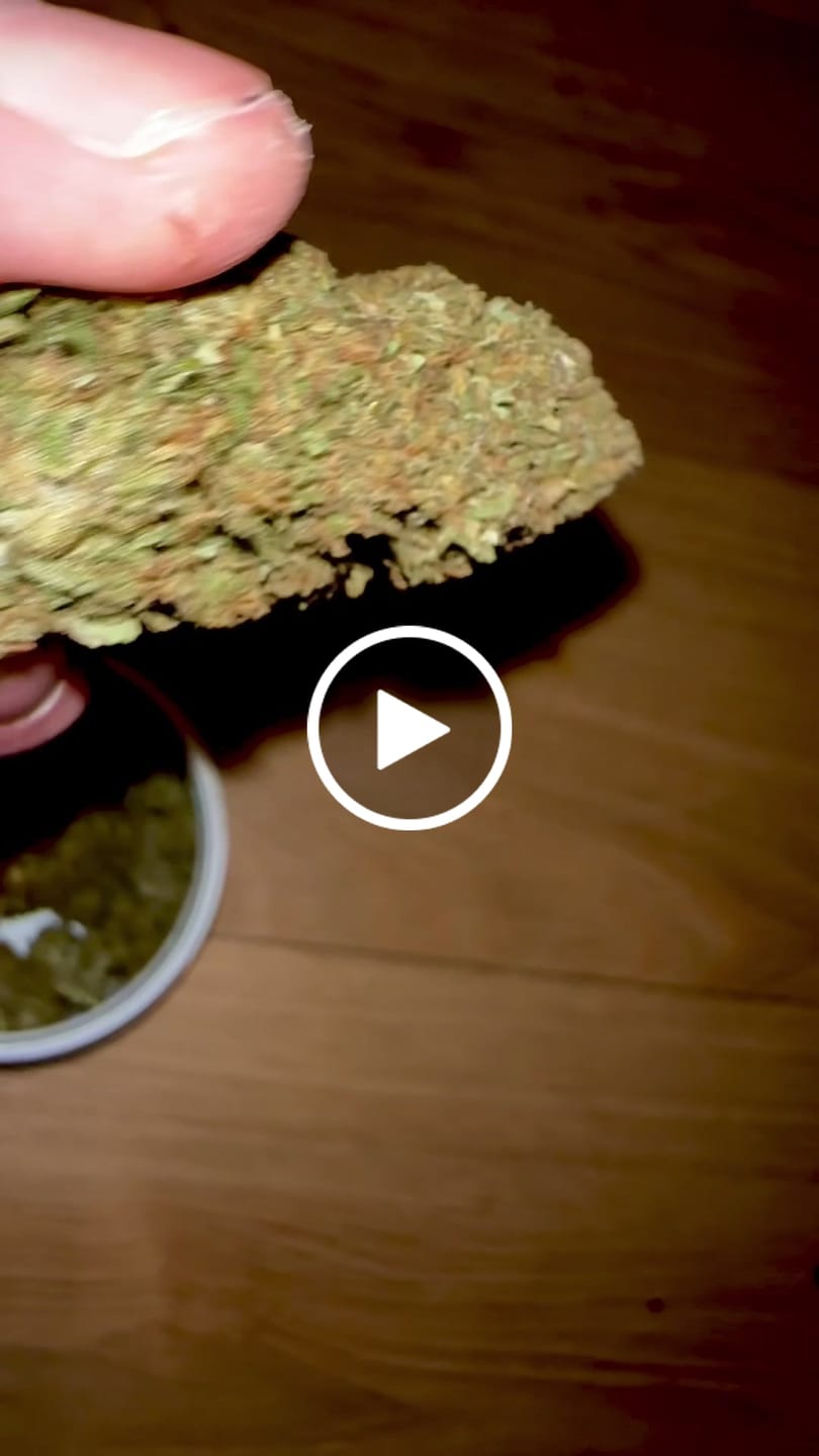 Customer video review of Northern Lights 9H-HHC