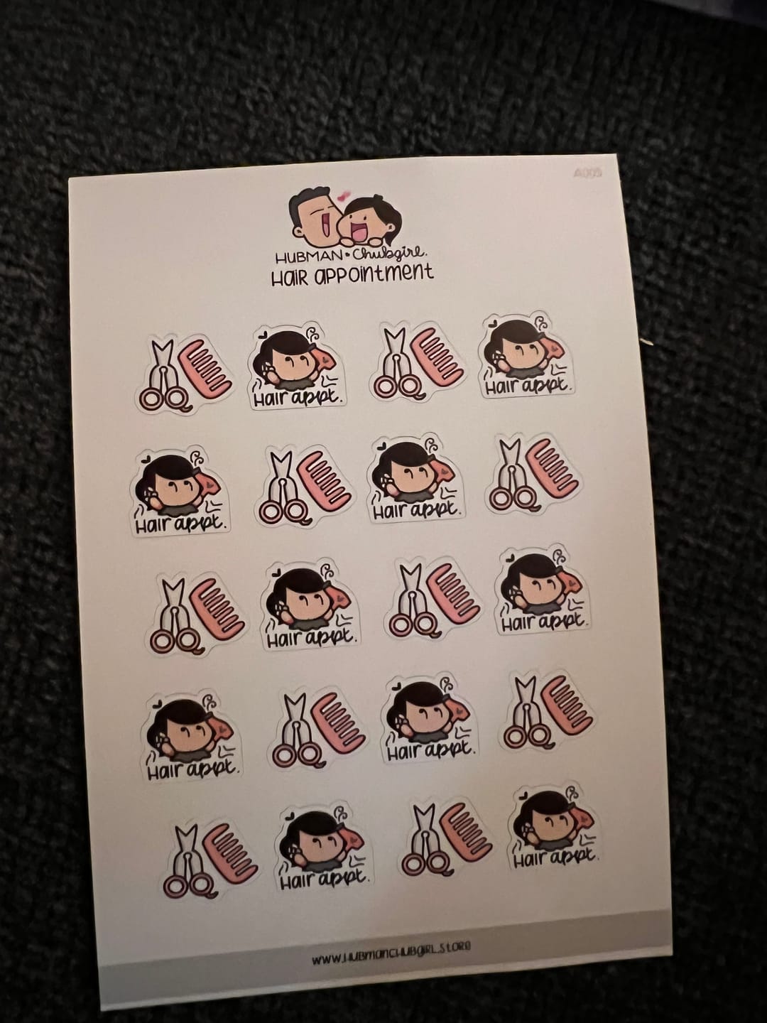 Customer photo review of Hair Appointment Planner Stickers