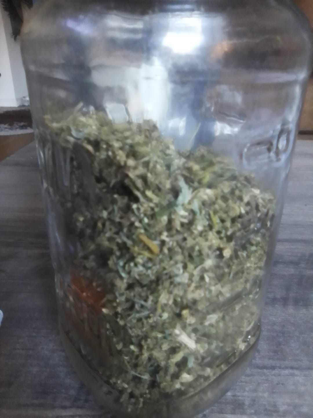 Customer photo review of Lemon Haze Indoor THCA Trim