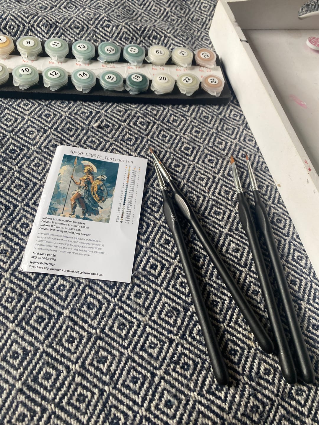 Customer photo review of Professional Brushes