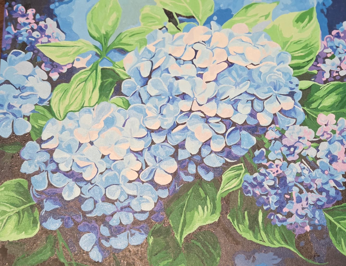 Customer photo review of Blue Hydrangea