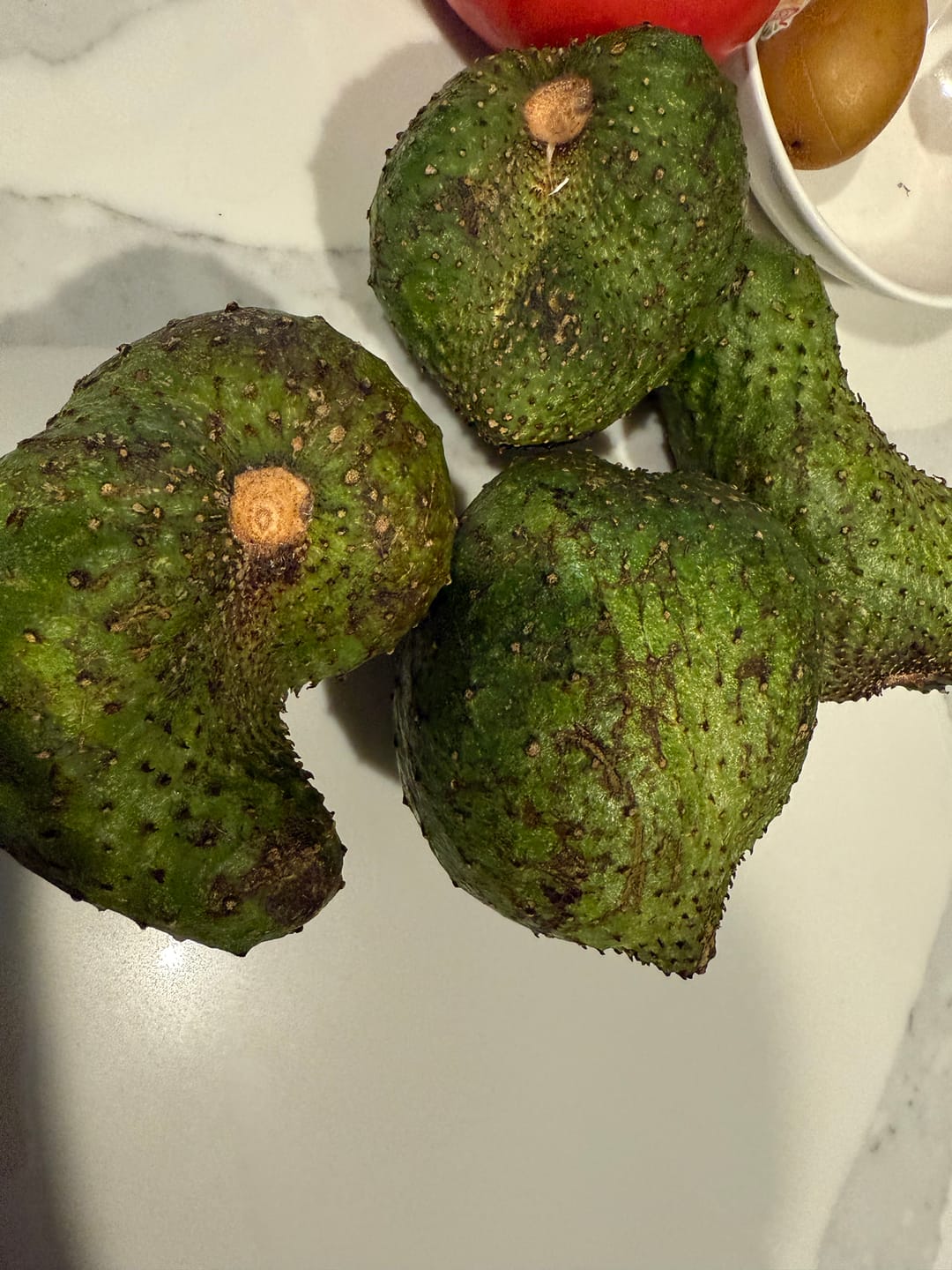 Customer photo review of Premium Soursop (Guanabana)
