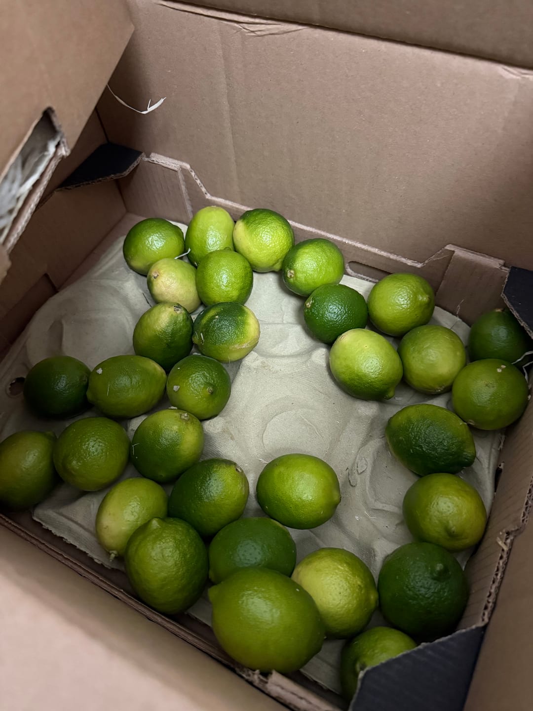 Customer photo review of Limetten Bio Box