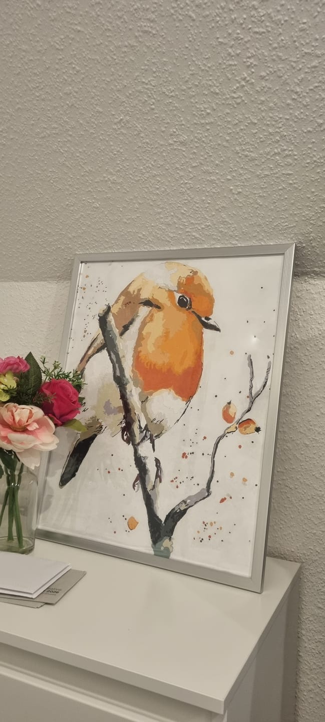 Customer photo review of Malen nach Zahlen - Rotkehlchen - by Tiny Tami