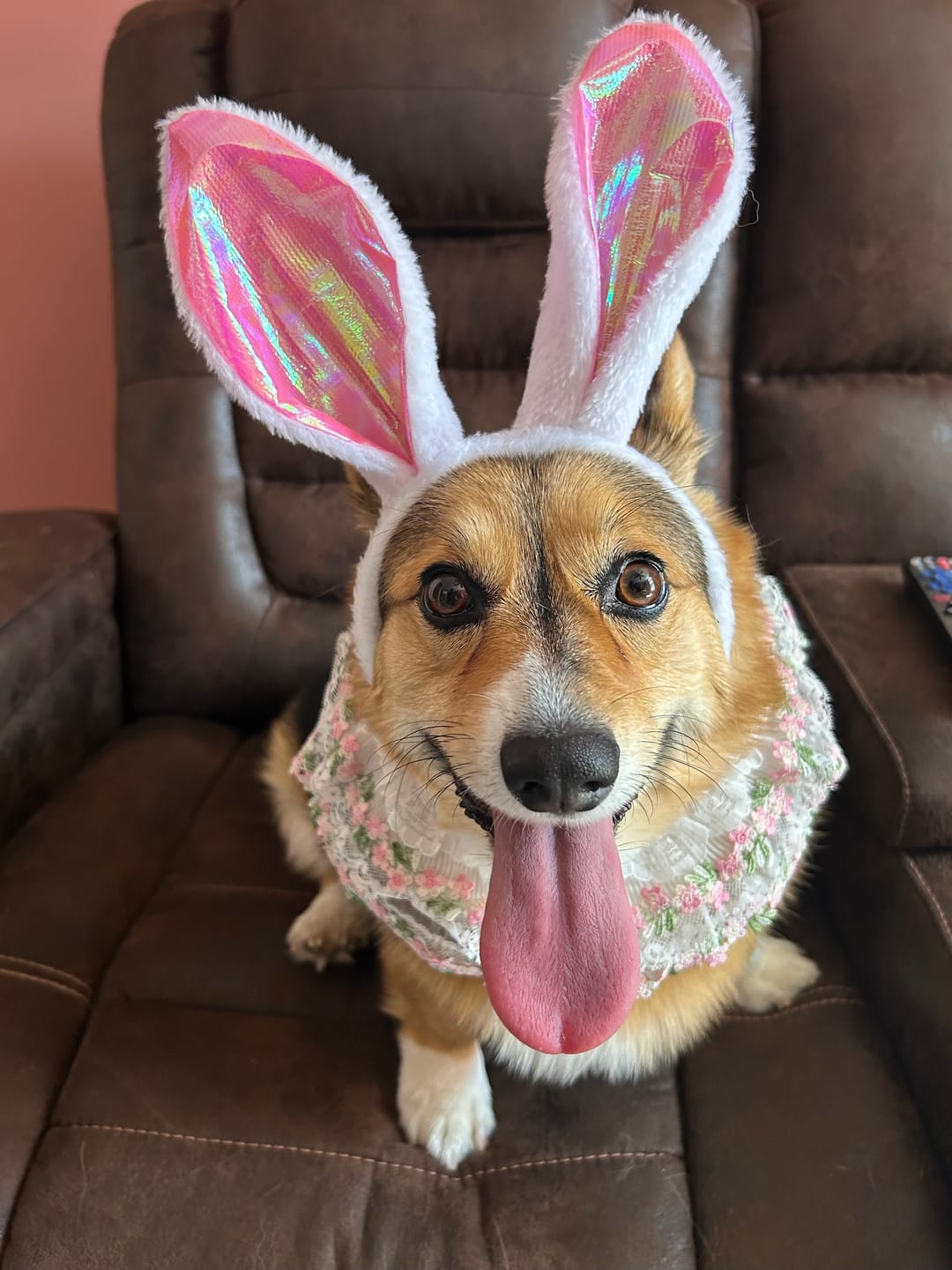 Customer photo review of Susan – Handmade Easter Floral Lace Bandana for Cats and Dogs