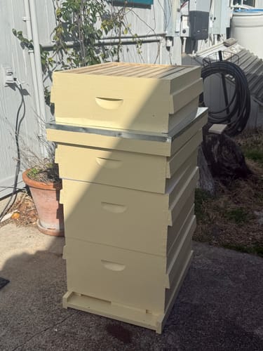 Customer photo review of BeeCastle Natural Hive 10 Frame 4 Layer Cedar Wood Beehive Kit:Elevate Your Beekeeping Journey Naturally! Includes 2 Deep Boxes and 2 Super Boxes with Premium Wooden Frames and Beeswax Plastic Foundation