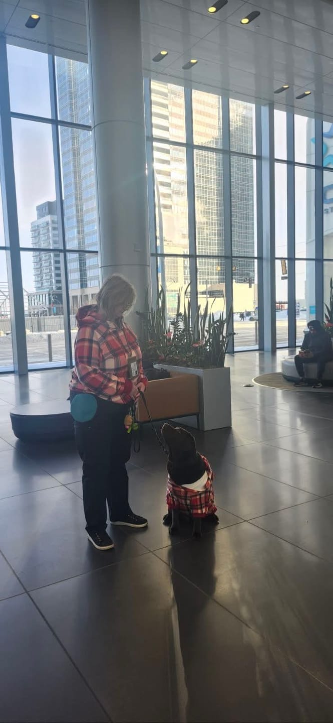 Customer photo review of Red Plaid Dog Hoodie