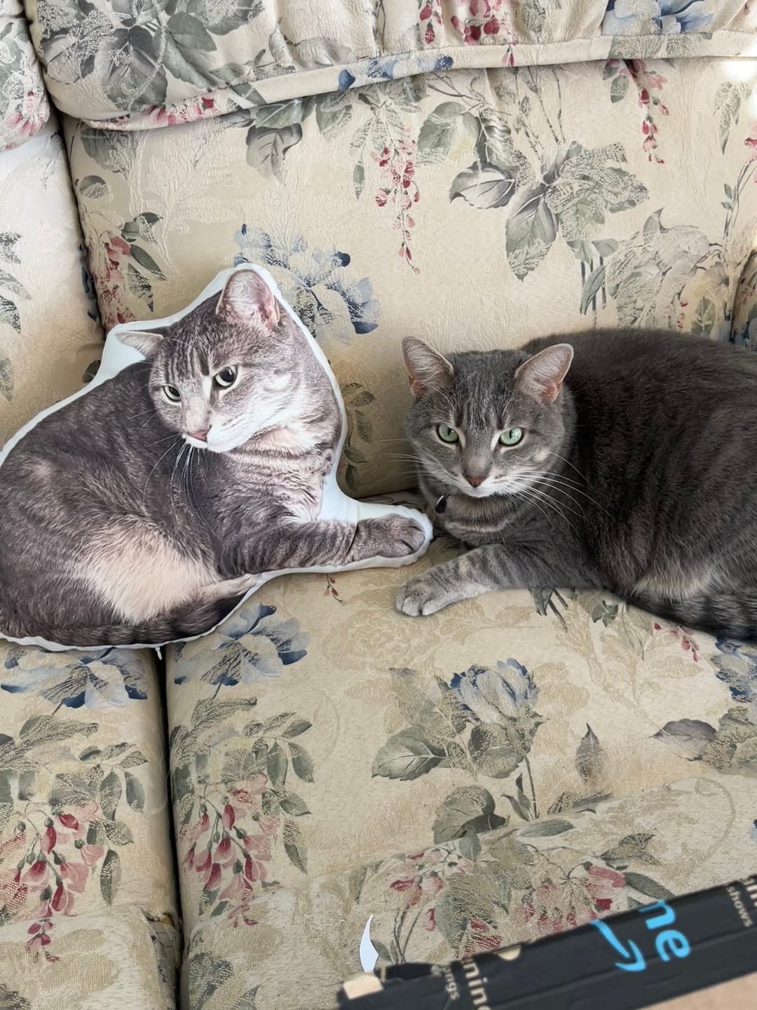 Customer photo review of Custom Dog Shaped Memorial Pillow for Pet Owners from Your Pet Picture