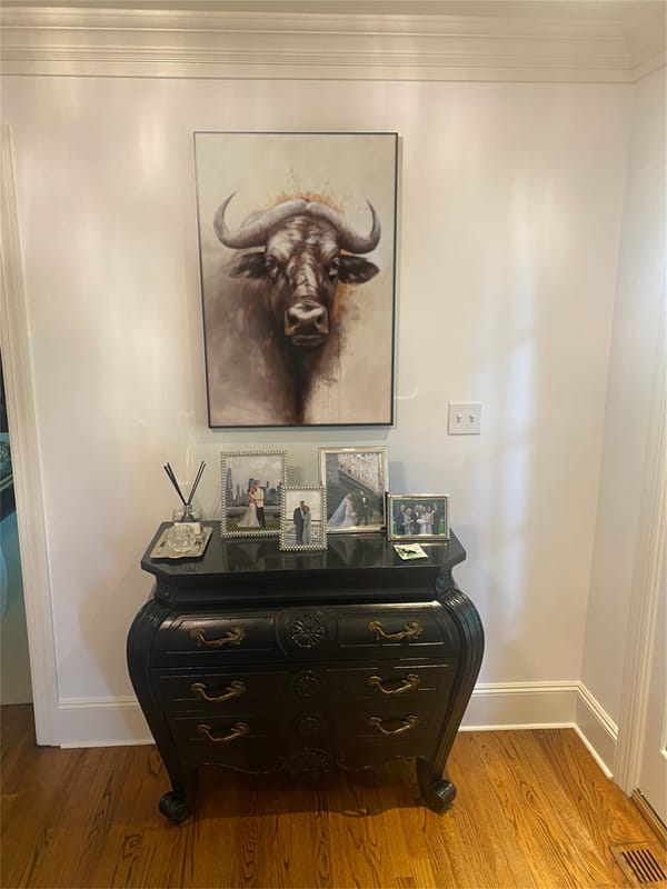 Customer photo review of Abstract Animal Buffalo Wall Art #AC048