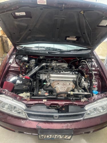 Customer photo review of Cold Air Intake for 94-02 Honda Accord 2.2L / 2.3L