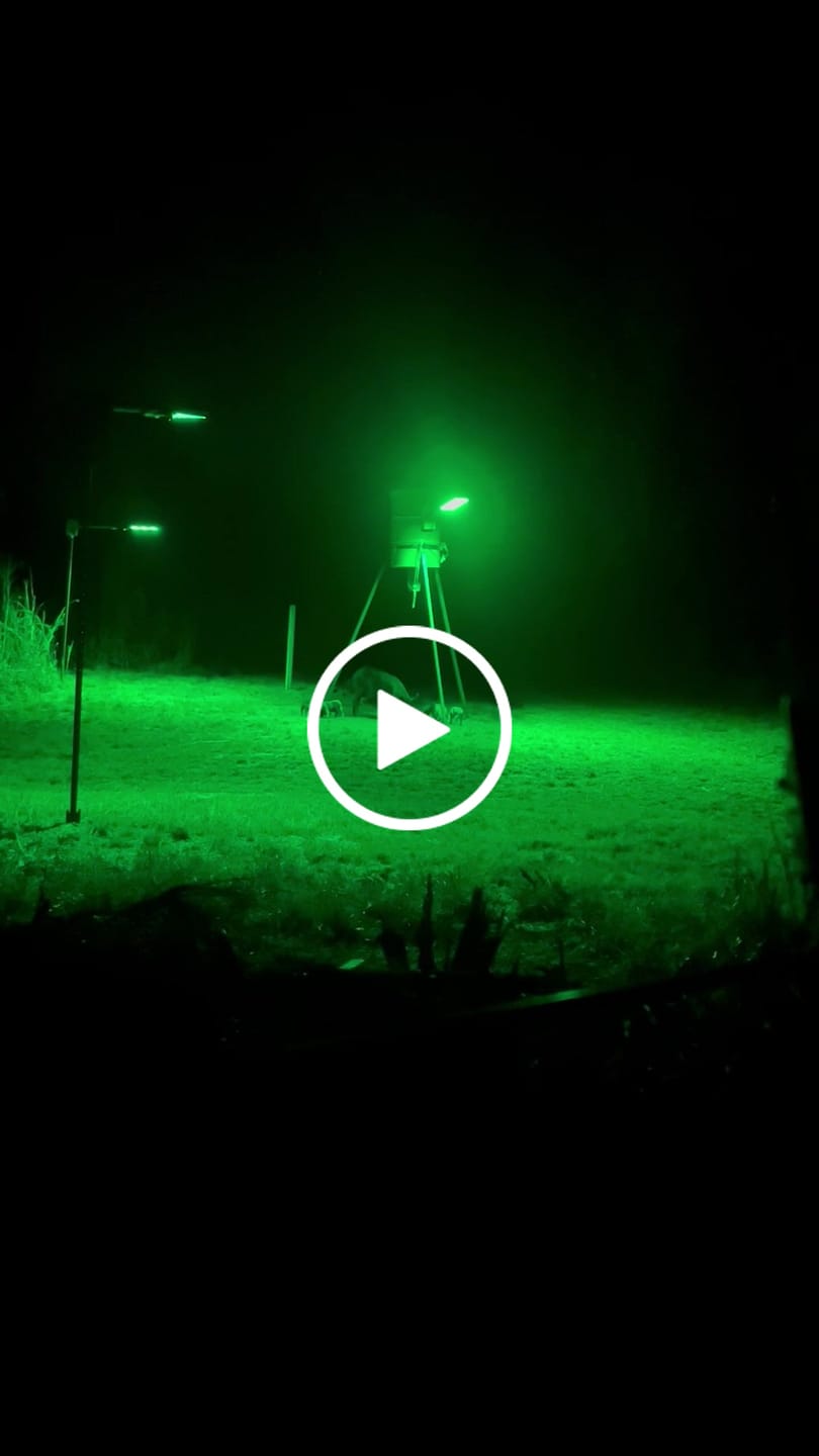 Customer video review of Powereful Solar Green Feeder Light for Hunting-25,000 lumens