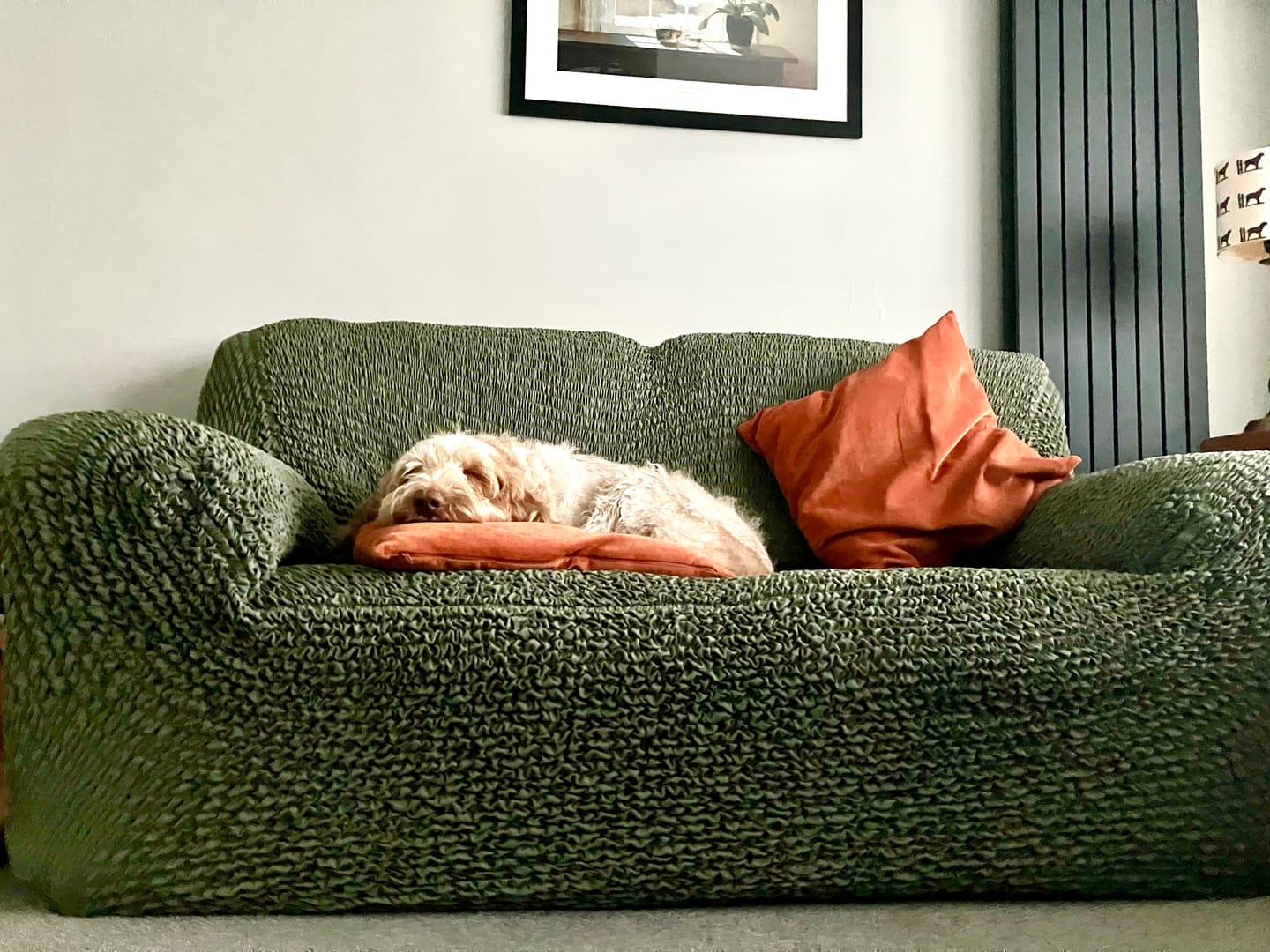 Customer photo review of 3 Seater Sofa Cover - Moss Green, Microfibra