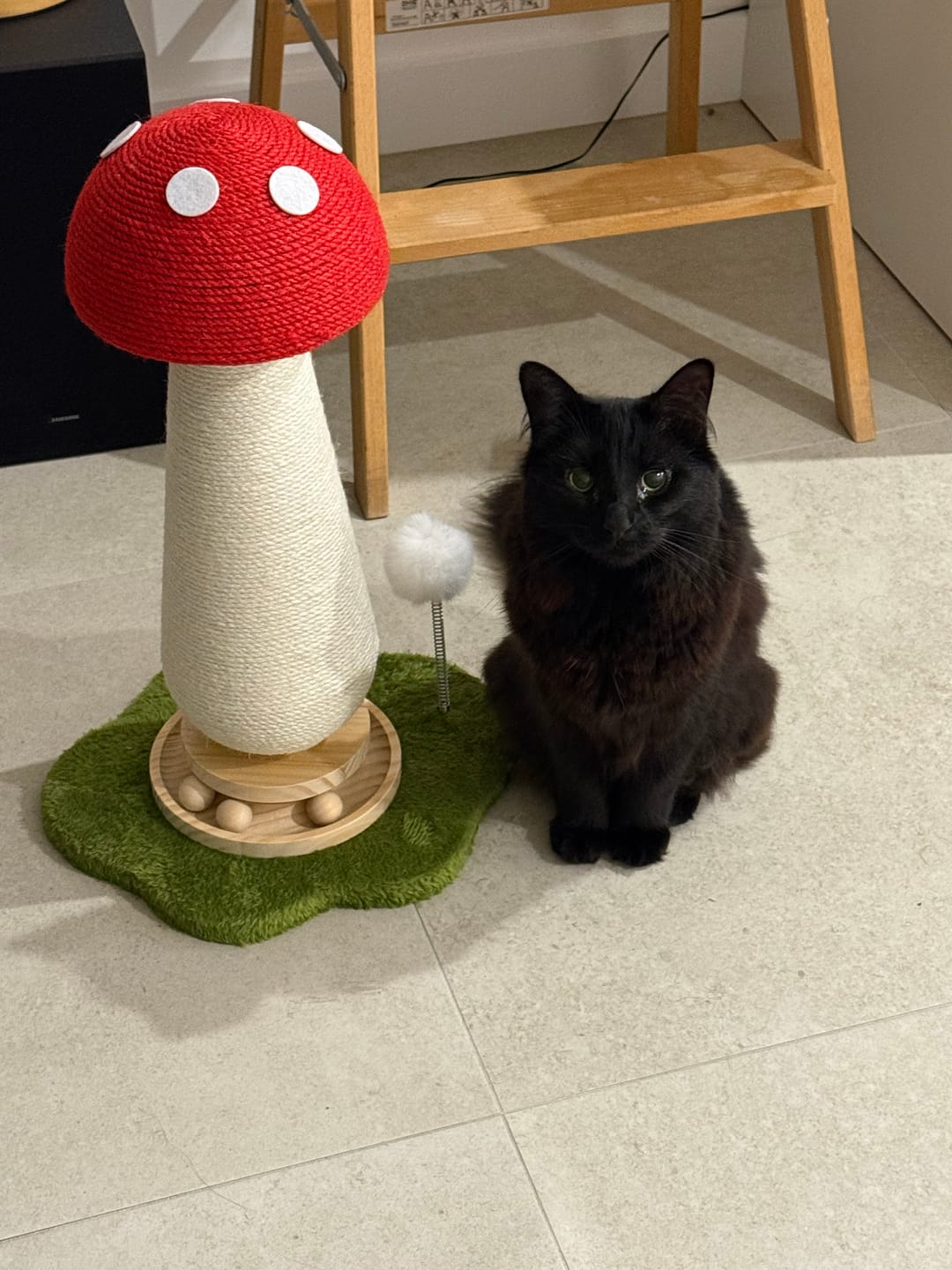 Customer photo review of Mushroom Cat Scratch Post with Toy Ball Track