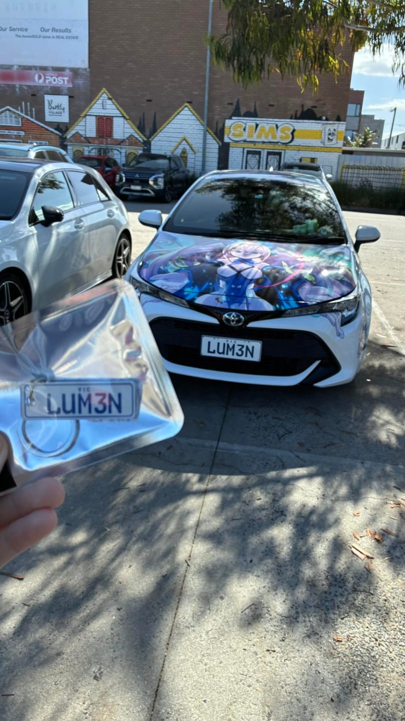 Customer photo review of VIC Mix Licence Plate Custom Keychain