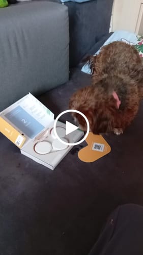 Customer video review of Wurmtest Plus Hund