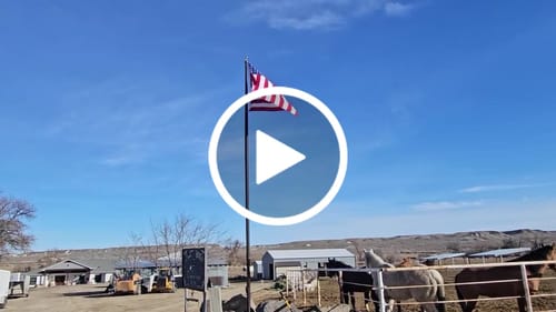 Customer video review of Ultra Heavy Duty American Flag - 2-ply Polyester - Made In USA