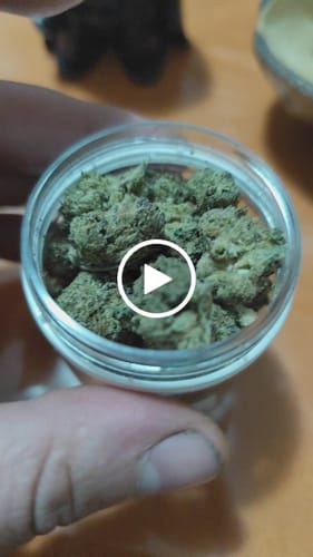 Customer video review of CALI MIX AAA+ – Premium Selection