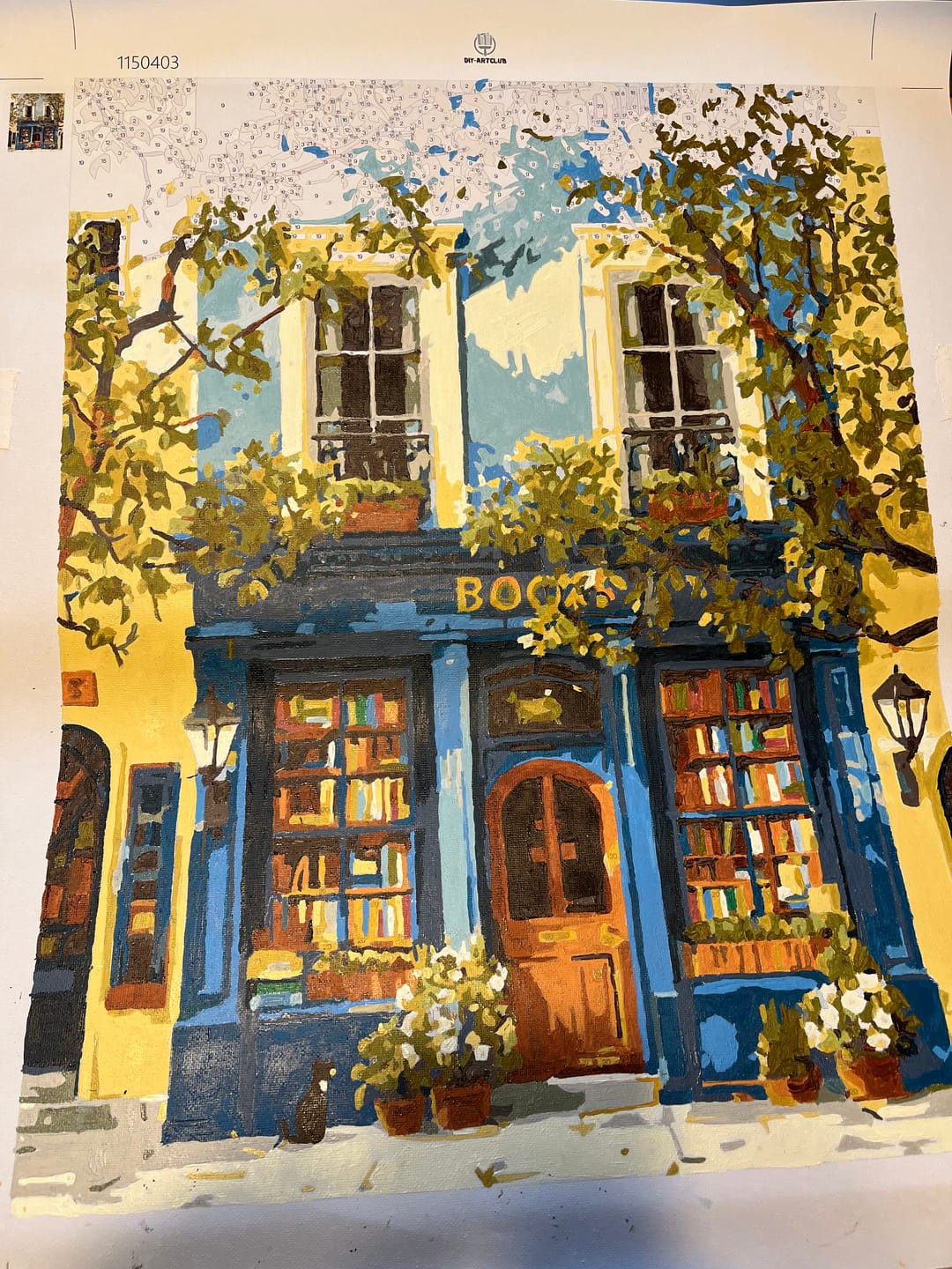 Customer photo review of The Blue Bookshop | Paint by Number