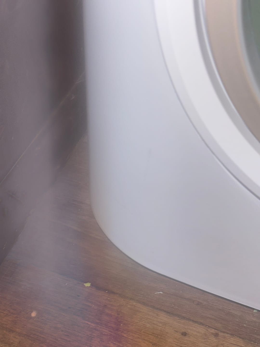 Customer photo review of PaWz Tofu Cat Litter
