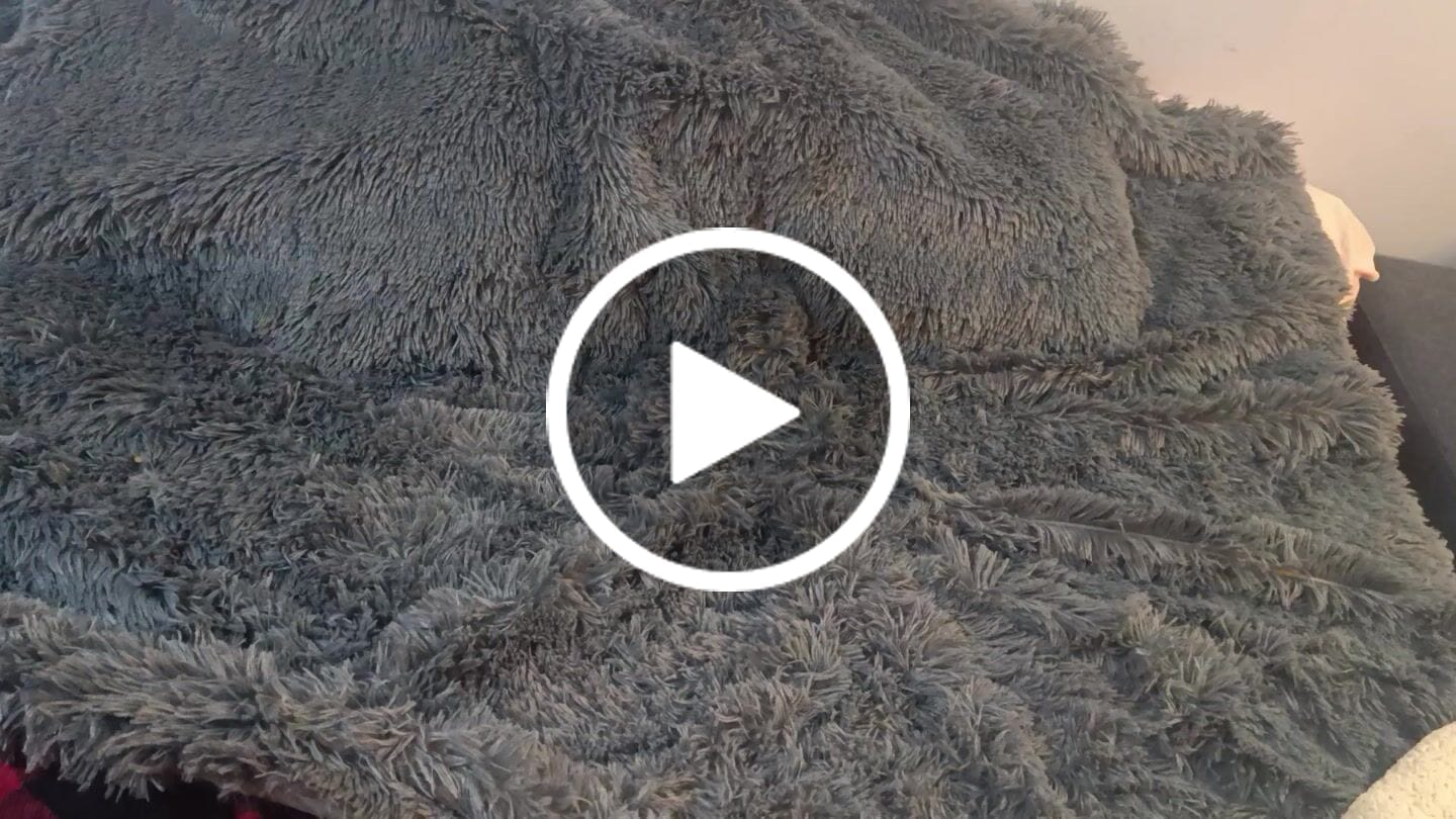 Customer video review of Cobija Impermeable para Perros