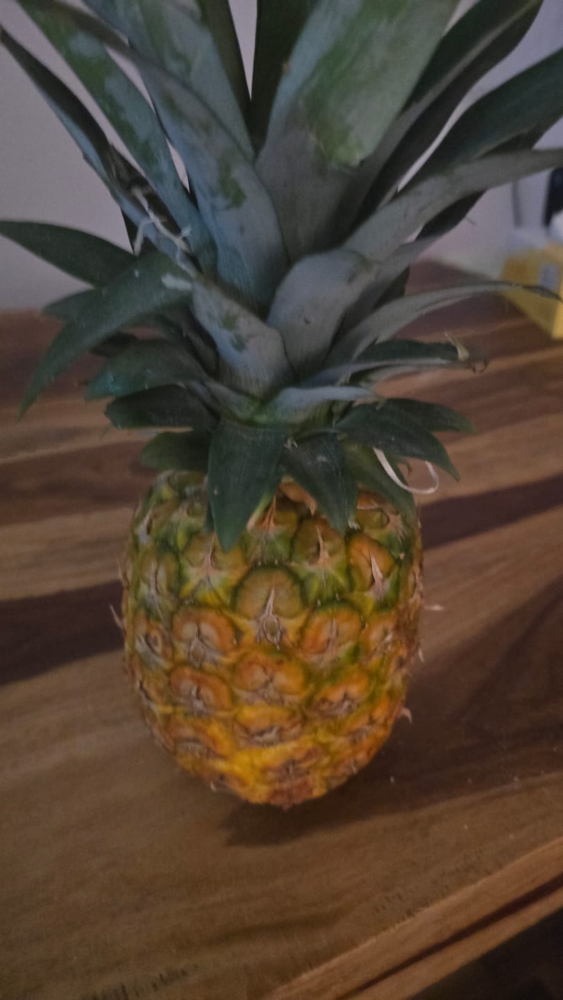 Customer photo review of Ananas Flugware reifgeerntet (stk. ca 1,5kg!) Aktionspreis %