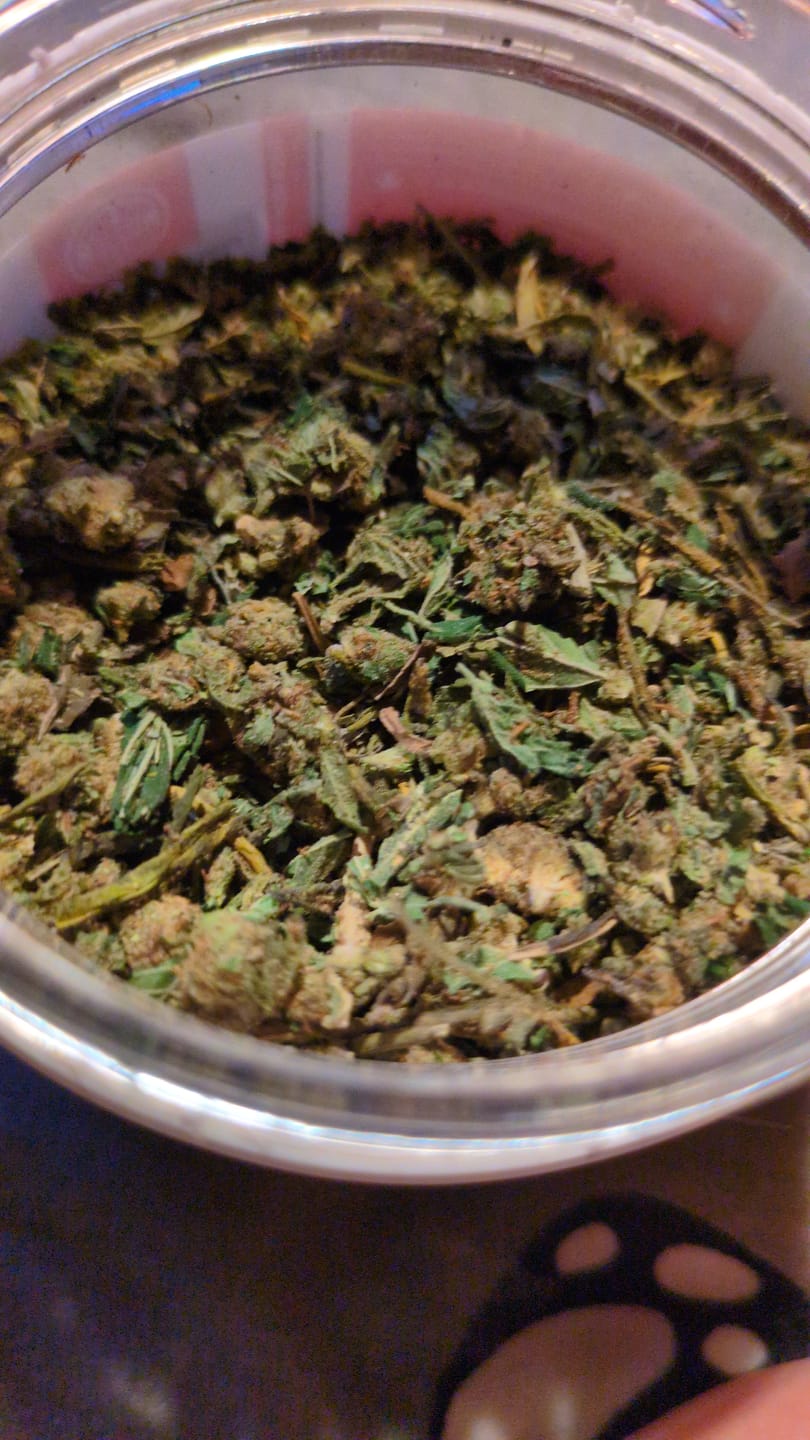 Customer photo review of Lemon Haze Indoor THCA Trim