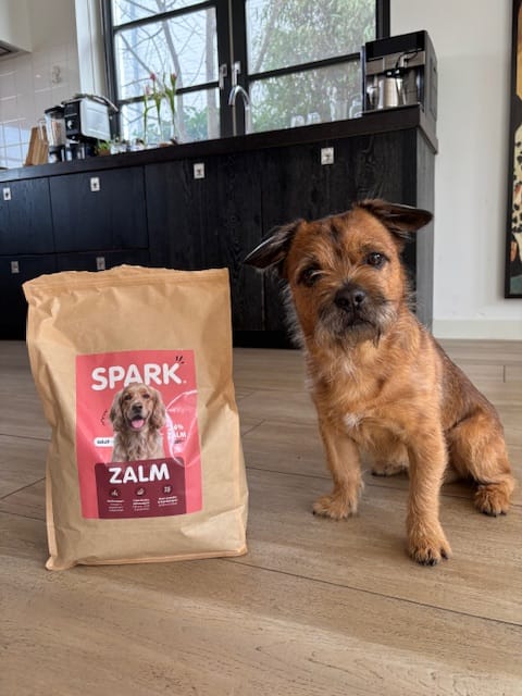 Customer photo review of V2.0 - Volwassen - Zalm met Zoete Aardappel