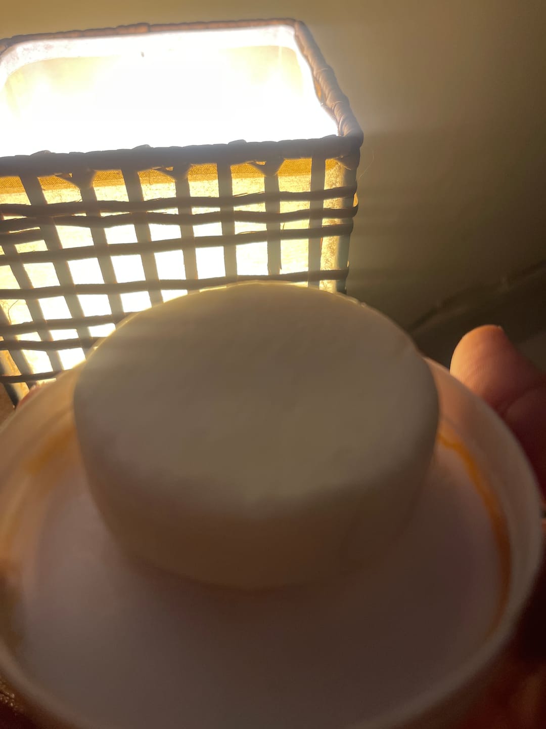 Customer photo review of HAIR REVIVER - Rice Protein Solid Shampoo