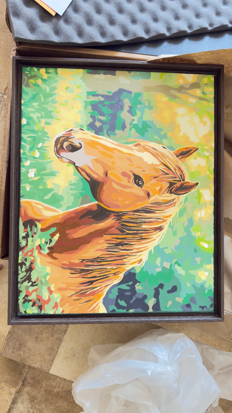 Customer photo review of Fierce Stallion