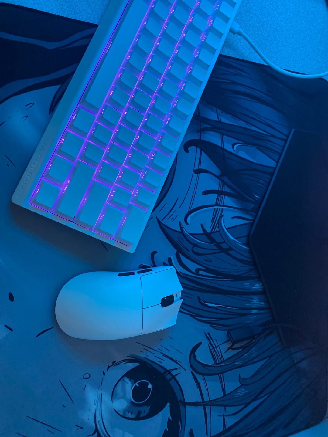 Customer photo review of Wraith Ace Series [Glimpse] Limited Edition Poron Mousepad