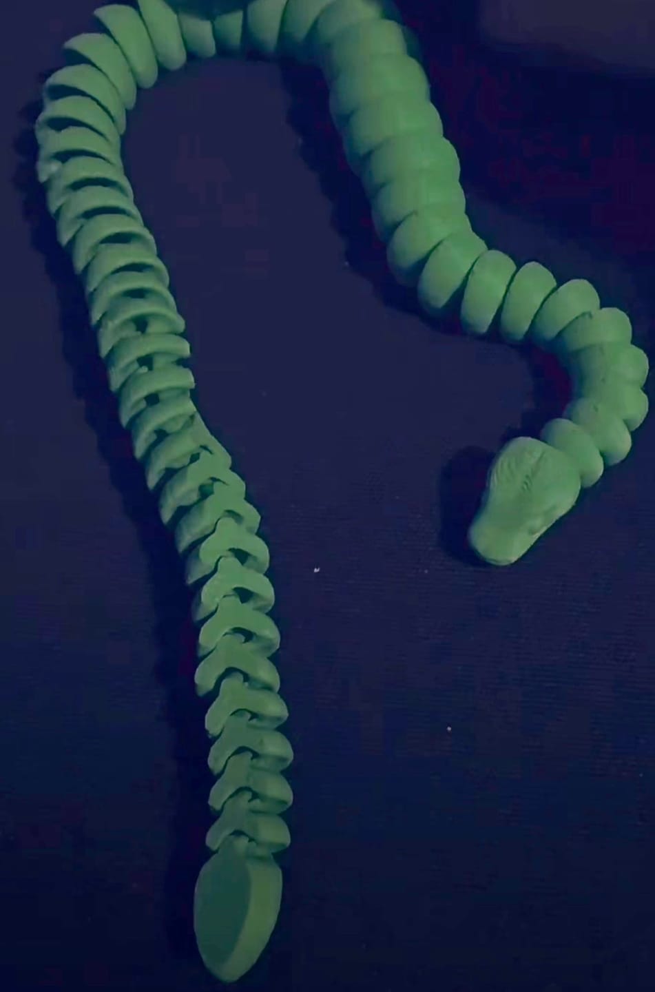 Customer photo review of FlexiSnake